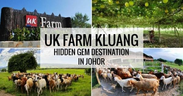 Uk Farm Agro Resort Keluang Kültér fotó